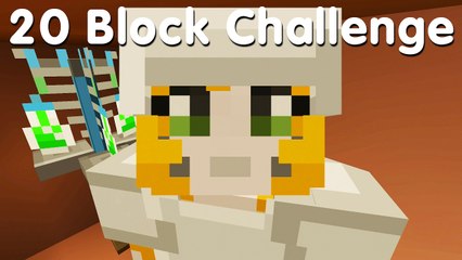 Minecraft PS4 - 20 Block Challenge - An Amazing Idea (23)
