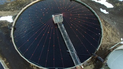 DJI Phantom 3 Pro ICELAND