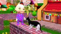 Funny Cats Compilation Video | Little Baby Boy Colors Cats Wubble Bubble Five Little Monke
