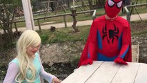 Elsa Play Piano Spiderman Dancing Hulk Troll Spider man Superheroes In Real Life!