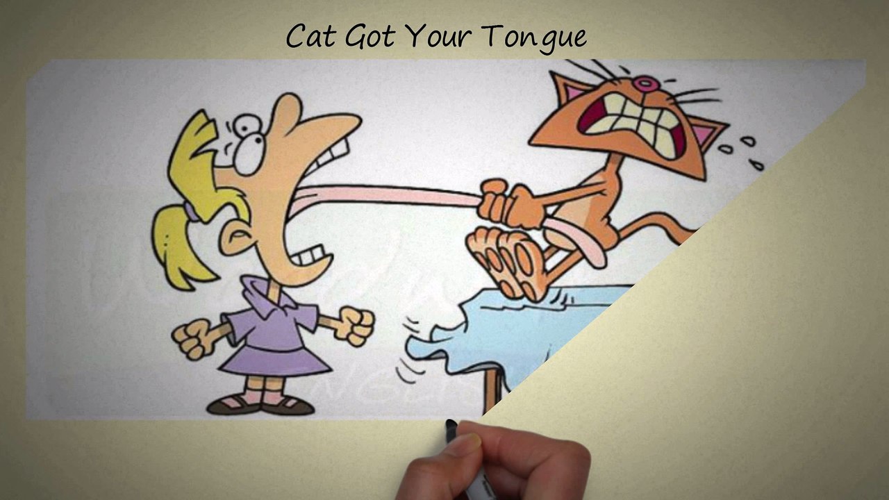 Lesson #14 - Cat got you tongue - Daily English Learners