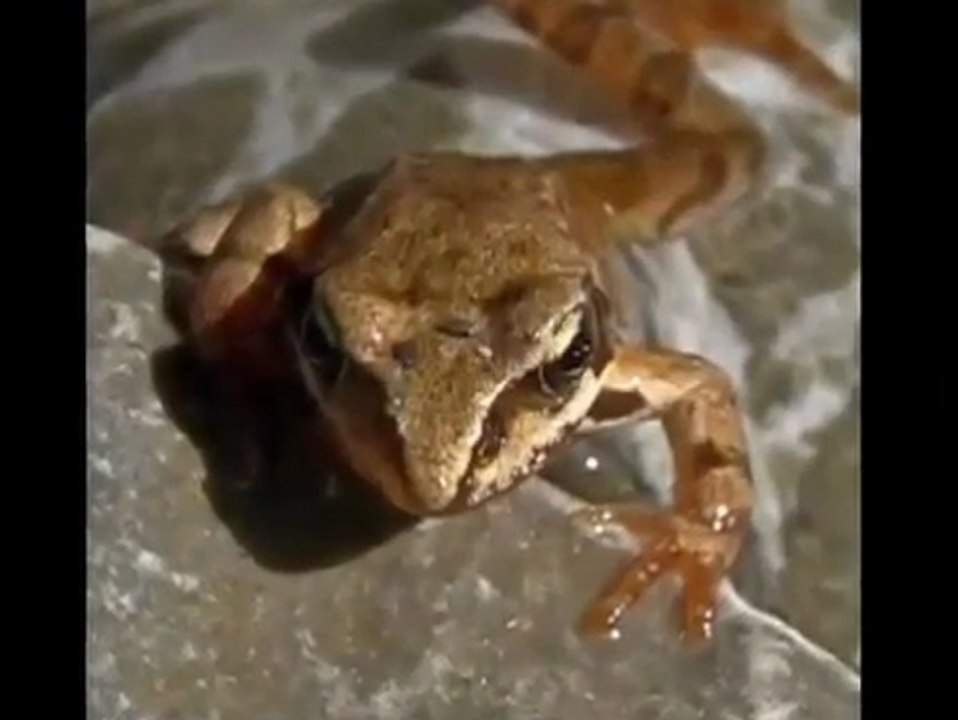 Alles gute zum Geburtstag