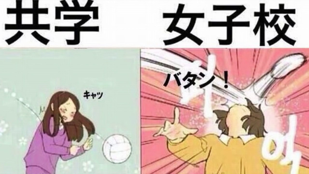 【衝撃】女子校と共学の違いが一目瞭然！？イラストで見るJKの違いがおもしろい！【驚愕】