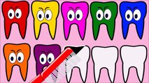 Learn Colors with Teeth Brush, Teach Colours, Baby Children Kids Learning Videos by Baby R