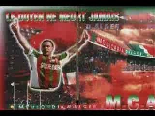 Mouloudia d alger