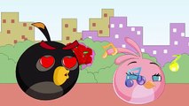 Angry Birds Animation : The Failure of Marriage