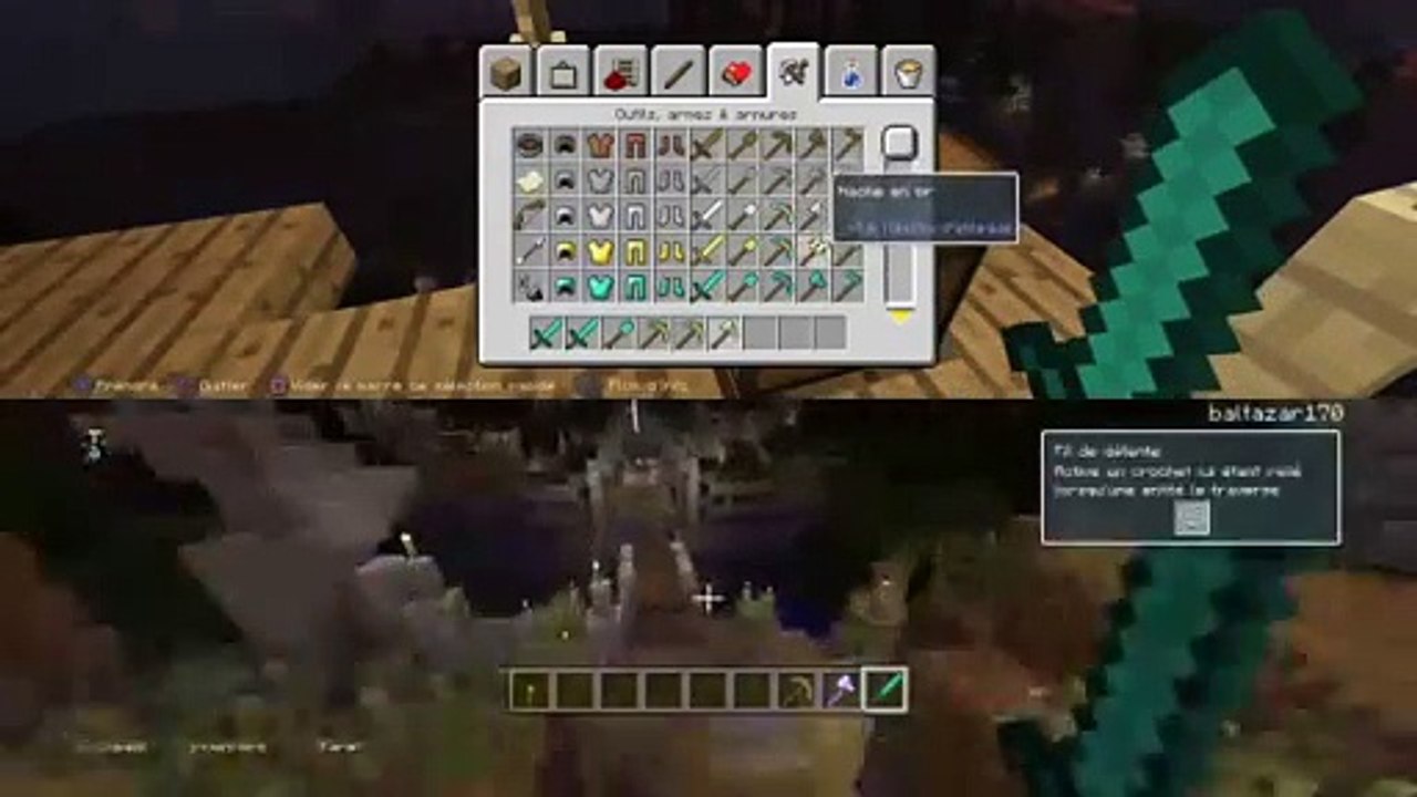 Video delire (9)