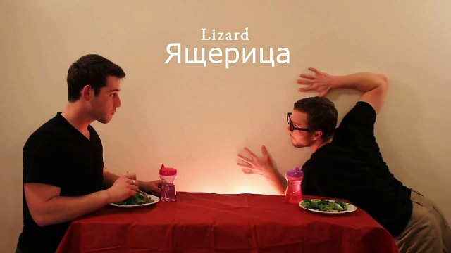 Як тварини їдять свою їжу. Відео