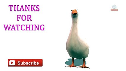 Lets Learn The Colors! - Cartoon Animation Color Songs for Children by ChuChuTV