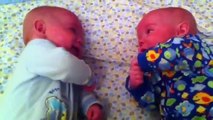 Trop mignon : des jumeaux discutent en langage bébé