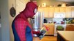 Frozen Elsa & Spiderman In Real Life | Elsa Eats All Of Spidermans Candy!