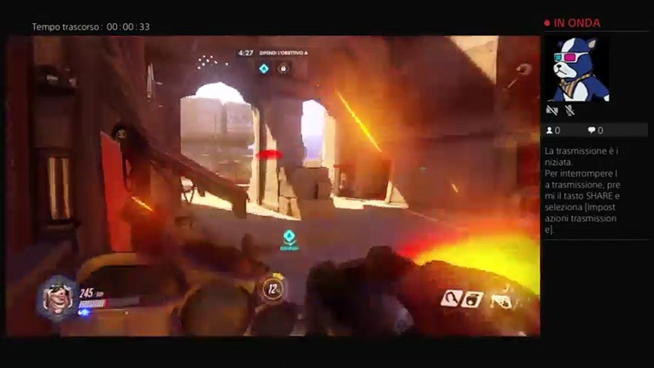 Overwatch (2)