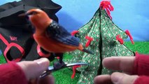 I Spy Mystery Birds Surprise Grab Hat - Kids Toy Singing Motion Activated Pets