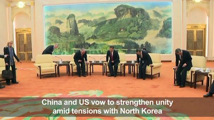 Xi, Tillerson vow to work toward closer US-China ties