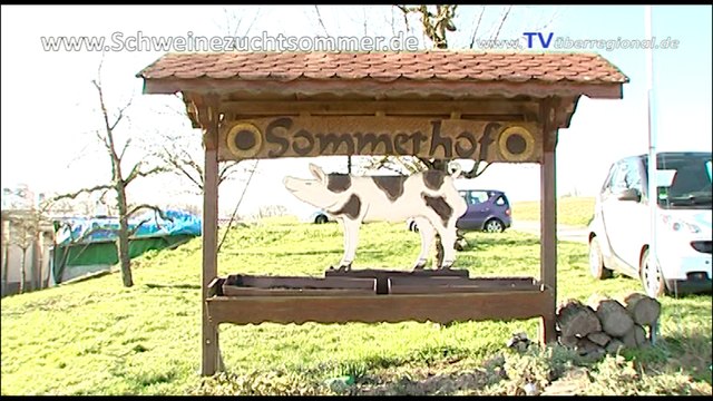 Schweinezuchtbetrieb Sommer - Sommerhof in Dielheim - Kraichgau