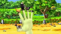 Animals Finger Family | Nursery Rhymes Song For Babies | 3D Rhyme Childrens Video