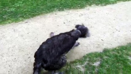 15 mars 17 Parc Rotschild