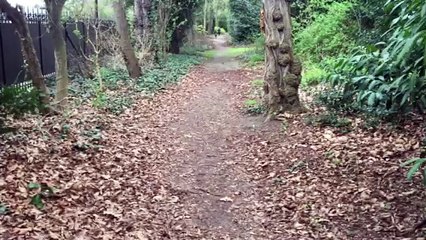 Parc Rotschild 15 mars 2017