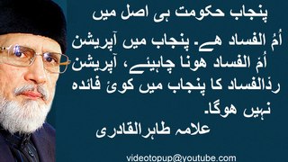 Dr Tahir ul Qadri Talk About Rad-ul-Fasad and Bashing Nawaz Sharif Govt