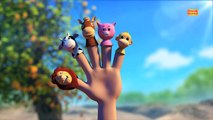 Finger Family and More Nursery Rhymes & Kids Songs | Bounce Patrol