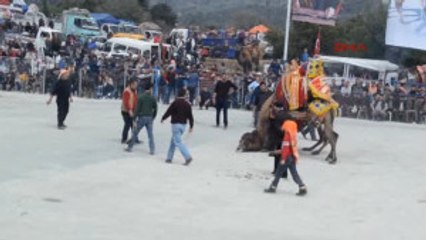 Develer Gümüşlük Gençlikspor Için Güreşti