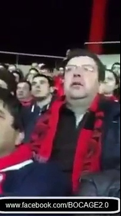 adepto benfica