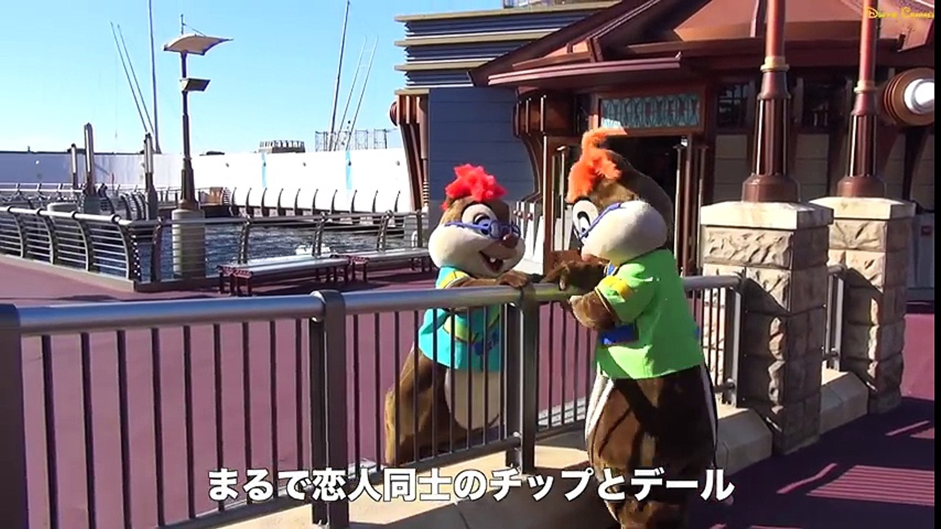 ºoº まるで恋人 もはや恋人 見つめ合うチップとデール 東京ディズニーシー キャラクターグリーティング Video Dailymotion