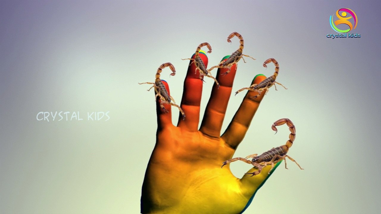 Животное Лучший Лучший Дети Коллекция Семья палец для питомник относительной влажности рифмы Песня в тв | | chuchu