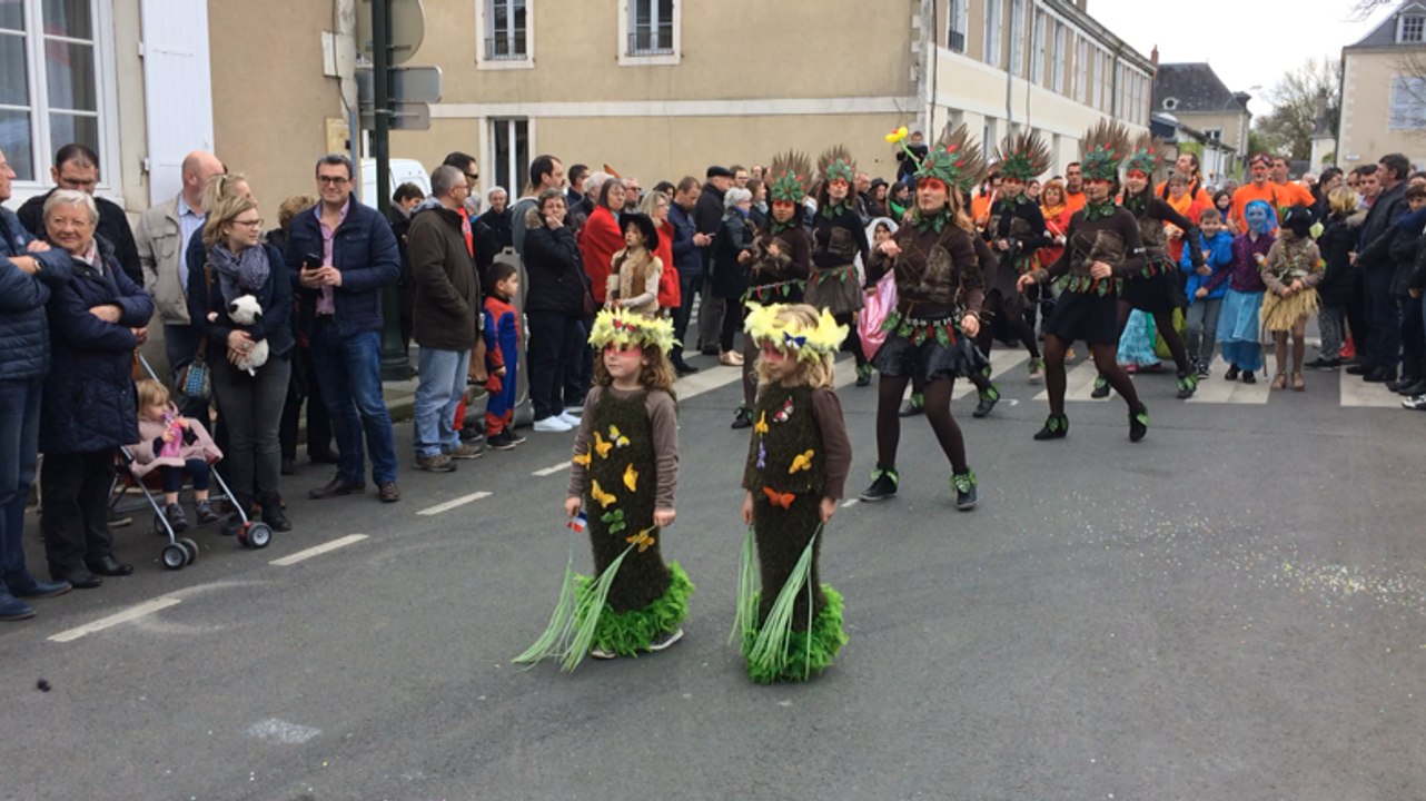 Carnaval : la foule pour le défilé
