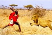 National Geographic Documentary - Lions vs Maasai Warriors - Wildlife Animal