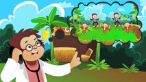 español de las poesías infantiles colección | rimas infantiles preescolares y canciones