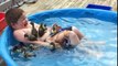 Kid Plays with Ducks in Kiddie Pool - American Funny Videos