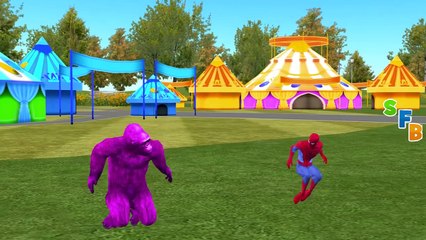 Gorilla Attack Frozen Elsa | Spiderman Vs Gorilla Godzilla Dinosaurs Finger Family Nursery