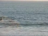 Video Blog # 94: Kite Surfers at Waddell Creek