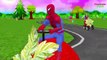 Crazy Superheroes Frozen Elsa Fruit Vehicles Nursery Rhymes | Spiderman Hulk Cartoons for Children