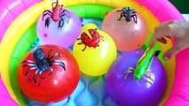 NEW Finger Family Song with Insects Wet Balloons - Learn Colors Nursery Rhymes songs for b
