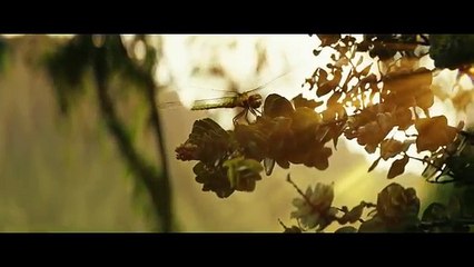 Kong- Skull Island - Rise of the King [Official Final Trailer]