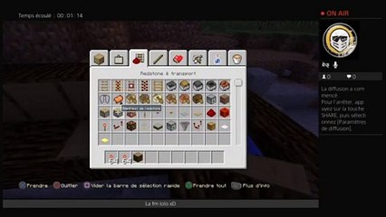 Cannon TNT Minecraft (21)