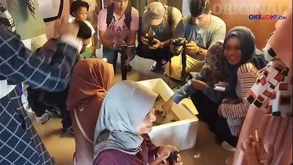 Serunya Anak-anak Belajar Mengenal Tukik