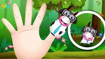 Domestic Animals Finger Family Rhymes Collections Cow | Cartoon 3D Rhymes For Children