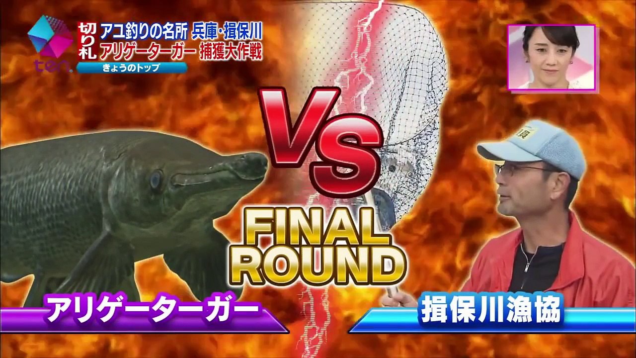 電気ショッカー船で外来魚アリゲーターガーは捕獲できるのか？　アユ釣りの名所 兵庫 揖保川
