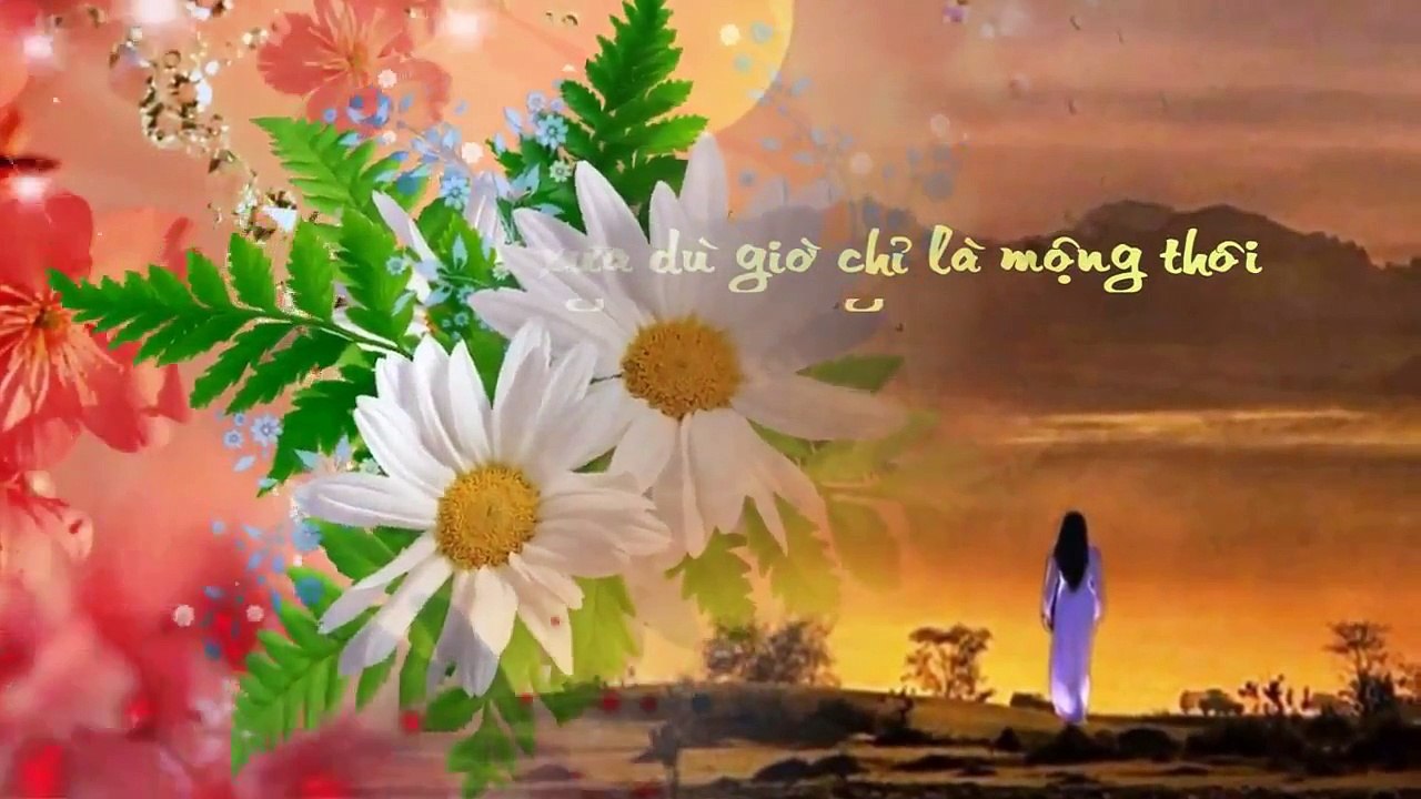 Nụ hồng mong manh - Như Quỳnh