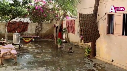 Mujhe Bhi Khuda Ne Banaya Hai - Episode 43 (Last) - 19th March 2017