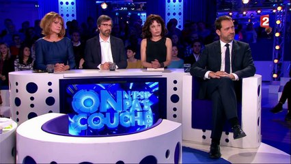 D!CI TV : Présidentielle : Christophe Castaner en campagne pour Macron dans "On n'est pas couché"