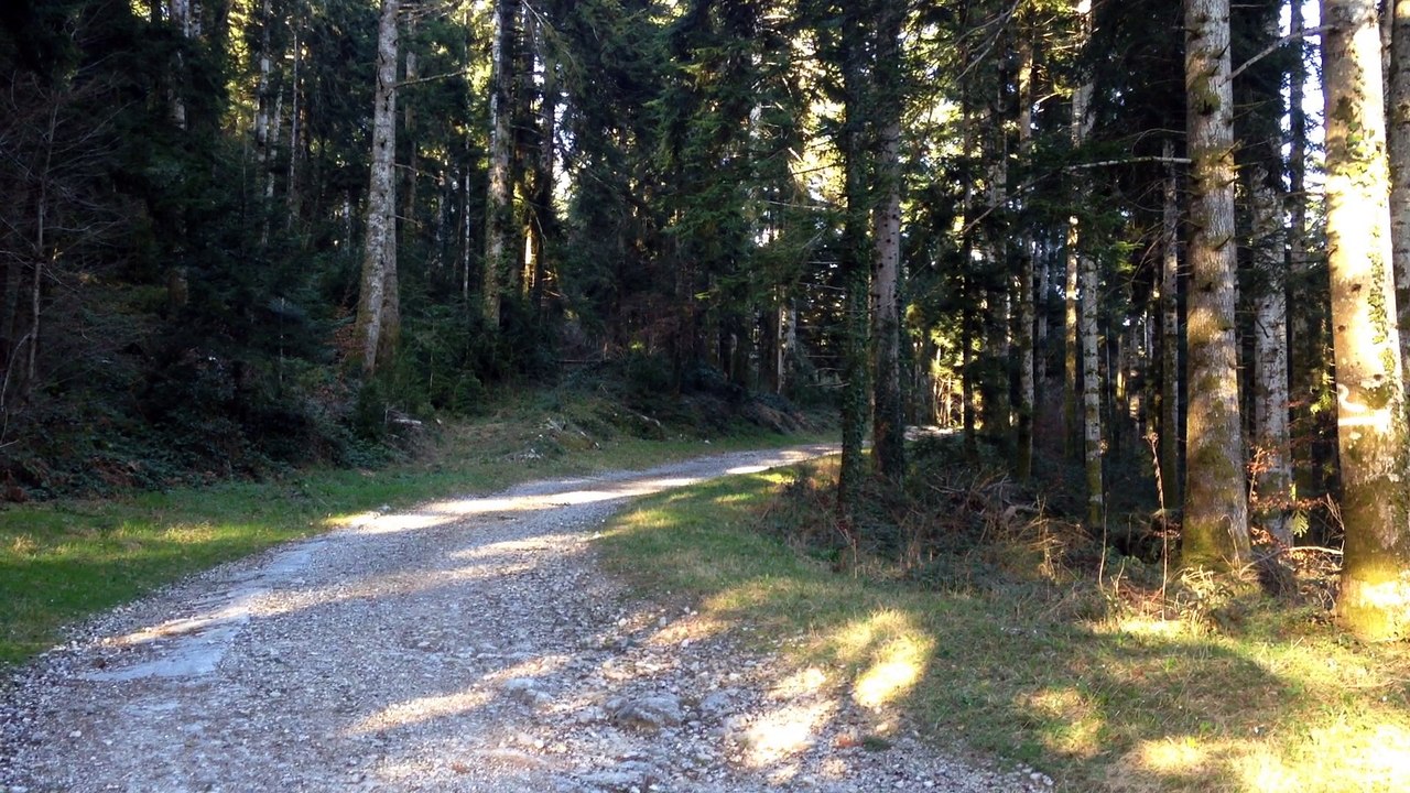 forêt de Belesta 3