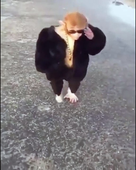 Style