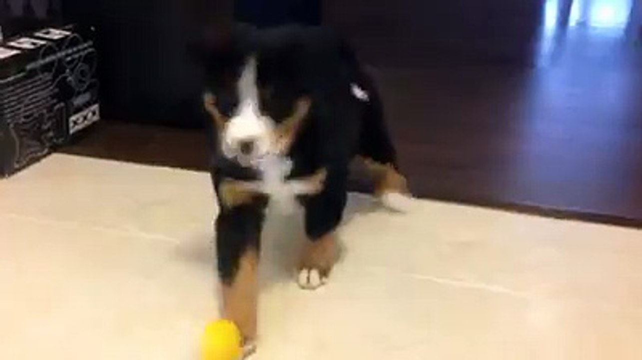 geil