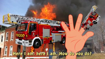 Finger Family Vehicles Fire Truck Police Car Bulldozer Ambulance Tow Truck Nursery Rhymes