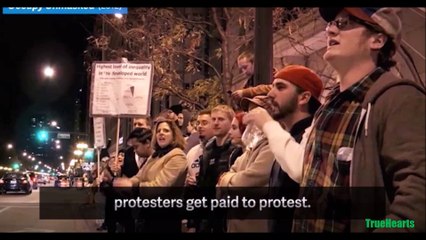 Steve Bannon is Trump's chief strategist—but he's also a prolific filmmaker. So what do his movies say about his vision for America