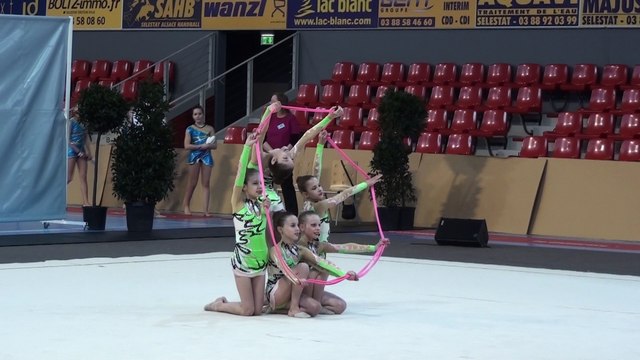 TFA 1011 ALSACE 2017